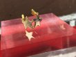 画像1: HOASHI YUSUKE  星のイヤカフ4つ並び　Gold (1)