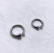 画像3: GARA　STAINLESS BONE RING&CHOKER　SILVER (3)