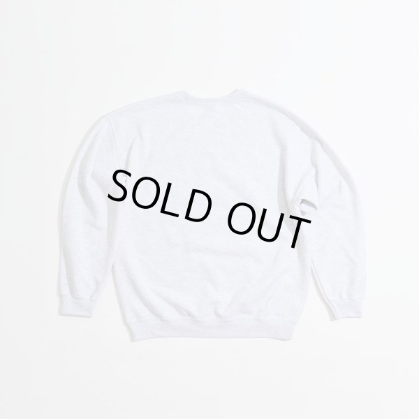 画像2: SAVE SHOCK　TRAIL SPOTTING CREW　ASH (2)