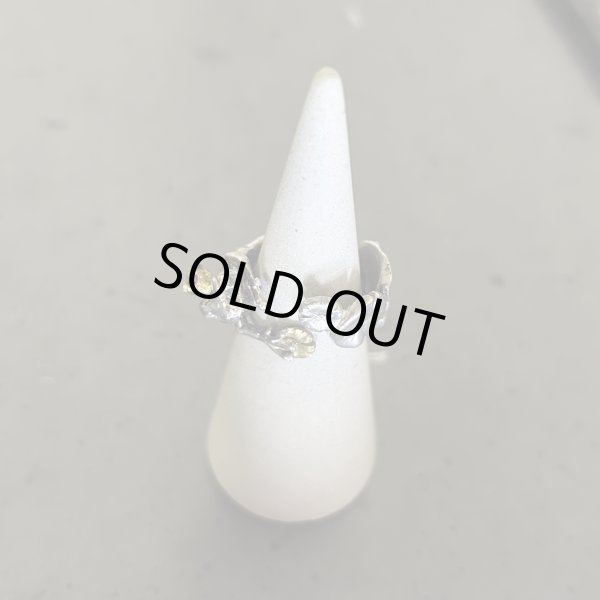 画像1: HOASHI YUSUKE　カエルの王様/リング　シルバー/ルビー (1)