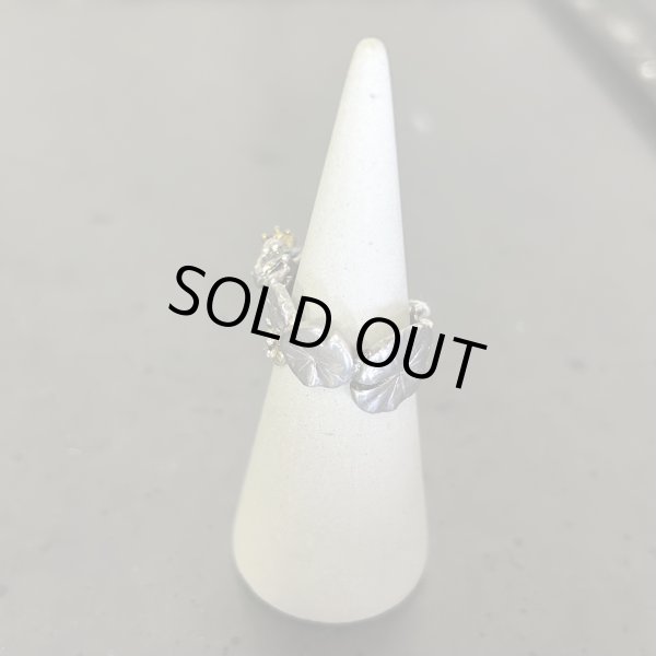 画像3: HOASHI YUSUKE　カエルの王様/リング　シルバー/ルビー (3)