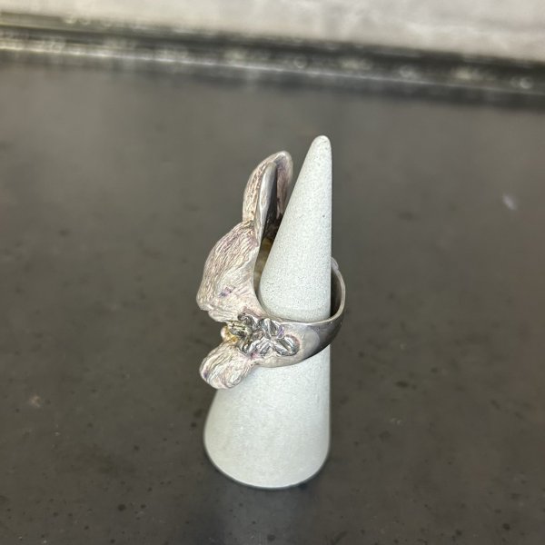 画像4: DECOvienya 大きなウサギとクローバーリング ホワイト (4)