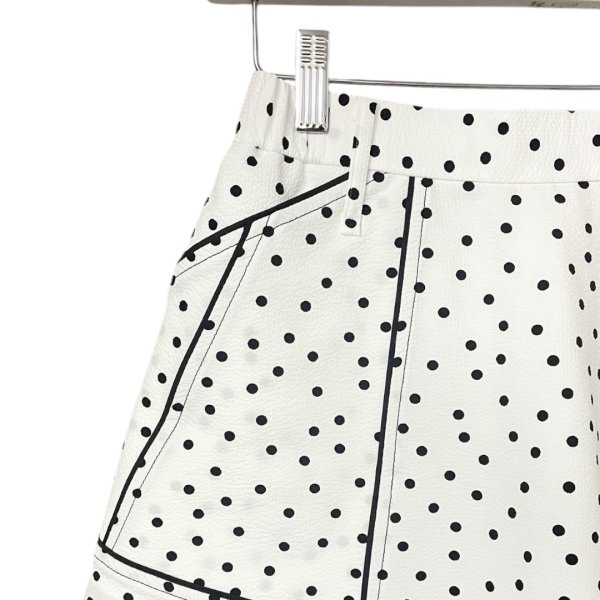 画像2: BALMUNG　フラットショーツ　Dots (2)