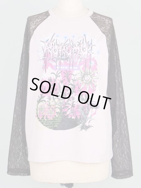 画像1: rurumu: 25SS lace raglan sleeve printed Tee smoky pink (1)