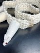 画像5: the tens -the10s 6rats choker white (5)