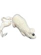 画像2: the tens -the10s rats finger doll necklace 白 (2)