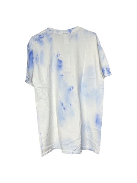 画像2: WESTFALL FRESH MULTIBERRY T-SHIRT SS CEMENT (2)