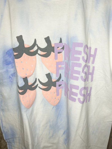 画像3: WESTFALL FRESH MULTIBERRY T-SHIRT SS CEMENT (3)