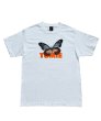 画像1: TOMIE Aagimadara Butterfly T-shirt white (1)