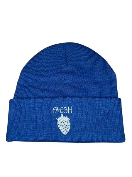 画像1: WESTFALL  FRESH BEANIE NAVY (1)