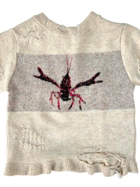 画像5: Tokio Zarigani crash knit (5)