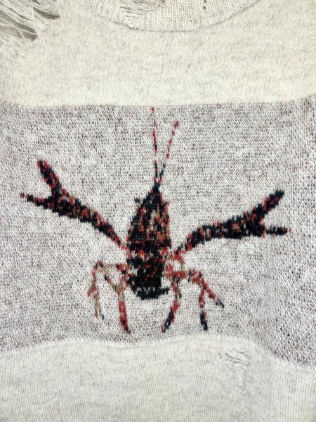 画像3: Tokio Zarigani crash knit (3)