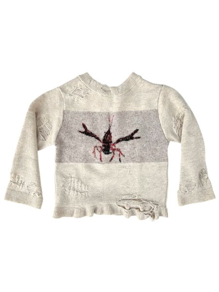 画像4: Tokio Zarigani crash knit (4)