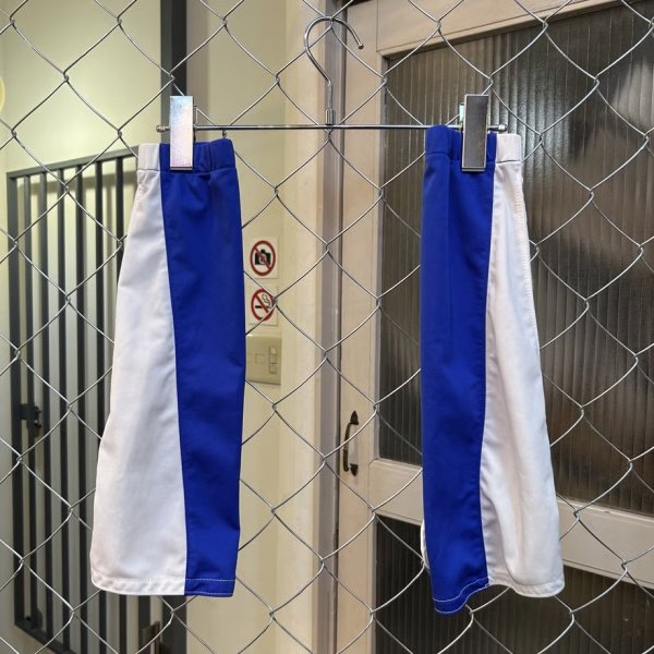 画像3: 雀蜂　アームウォマ　 (3)