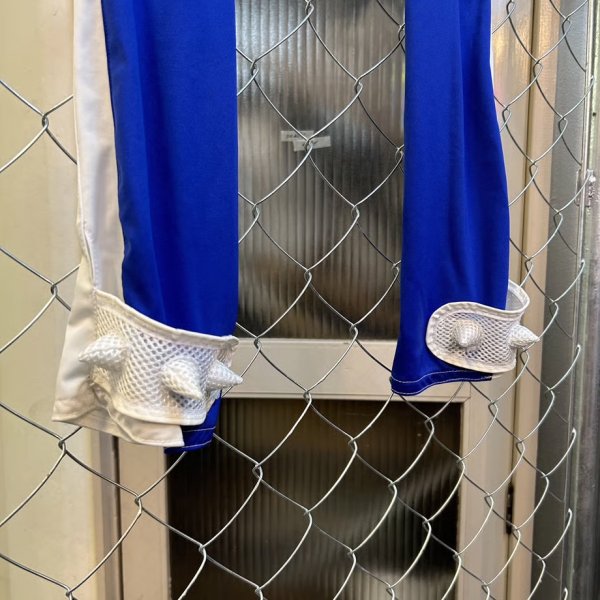 画像2: 雀蜂　アームウォマ　 (2)