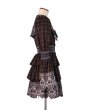 画像3: rurumu: 25AW burn the rabbit lace check mini dress (3)