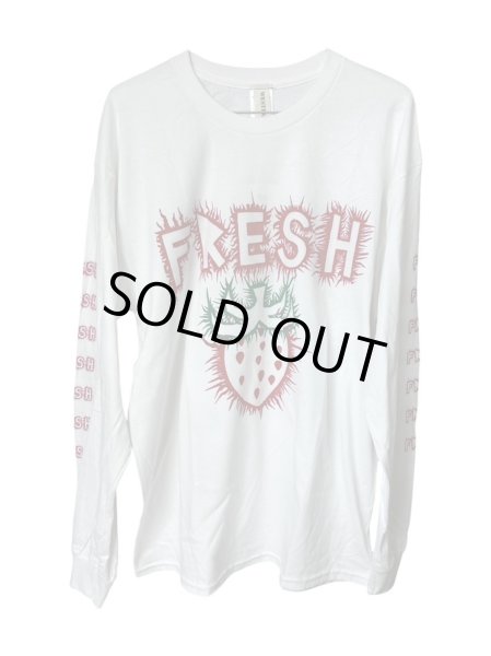 画像1: WESTFALL CYBER FRESH T-SHIRT LS WHITE (1)