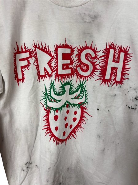 画像3: WESTFALL CYBER FRESH T-SHIRT LS DIRTY WHITE (3)